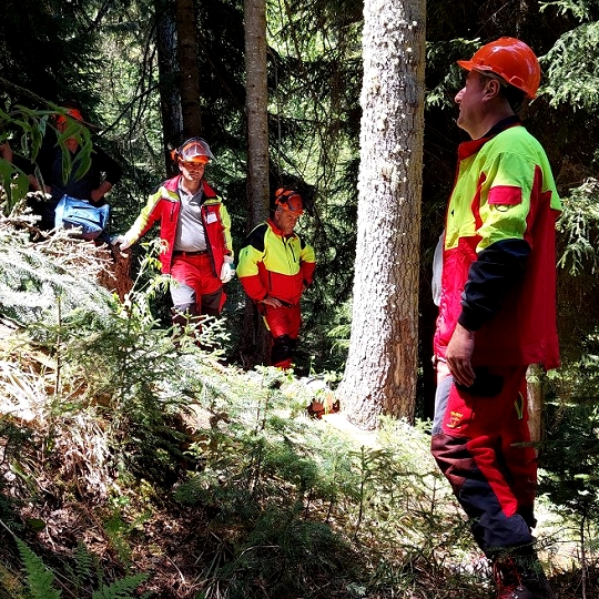 In Georgia we have facilitated the transfer of Slovenian good practices in the field of forest management 