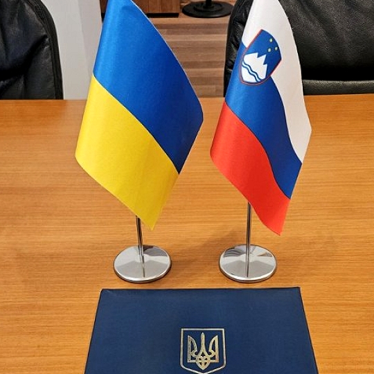 Construction of Biogas Production and Cogeneration Facilities in Lviv
